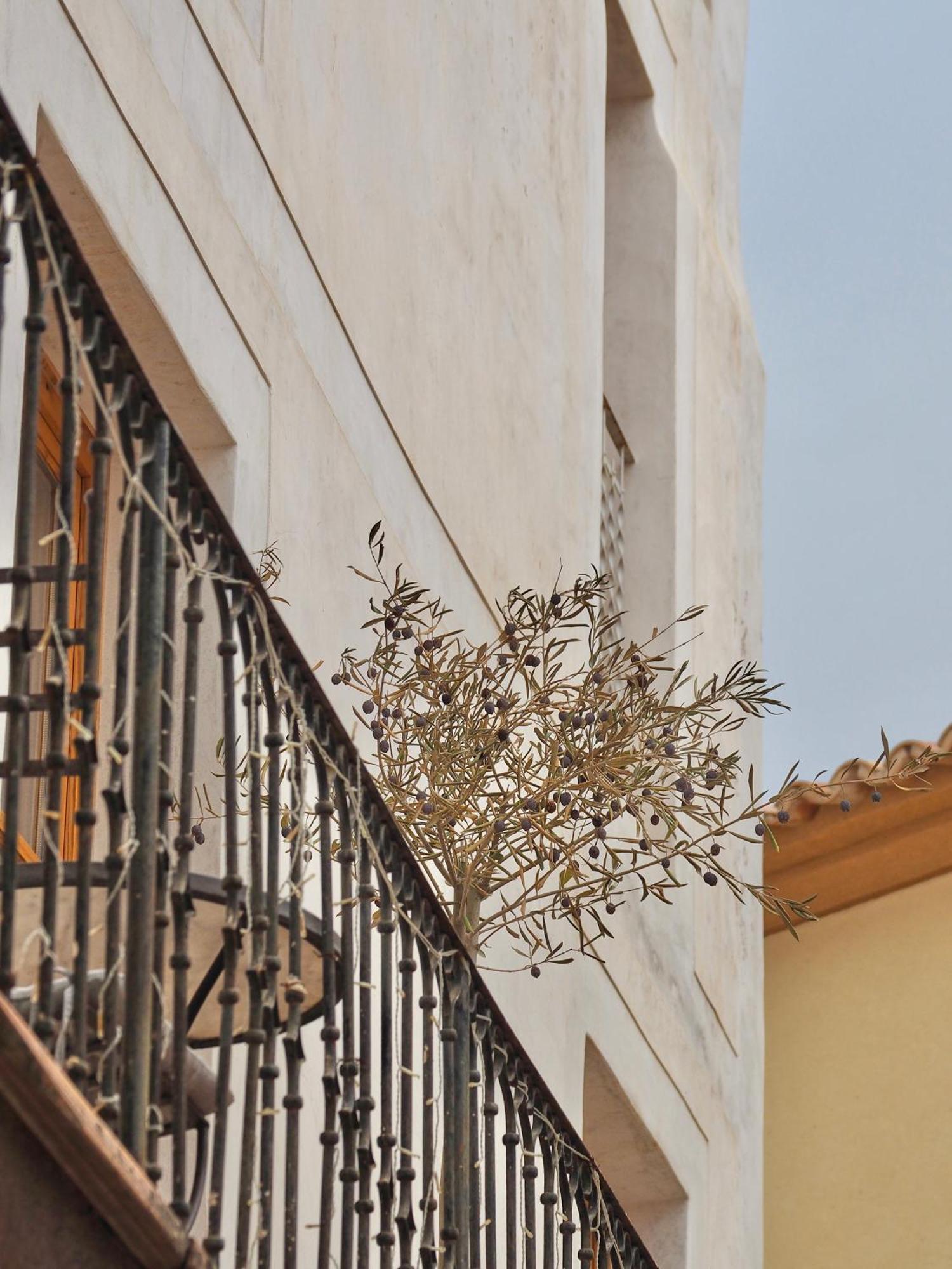 Forn Nou Hotel 4*